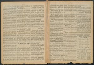 gazeta radomska-1884-19-00002